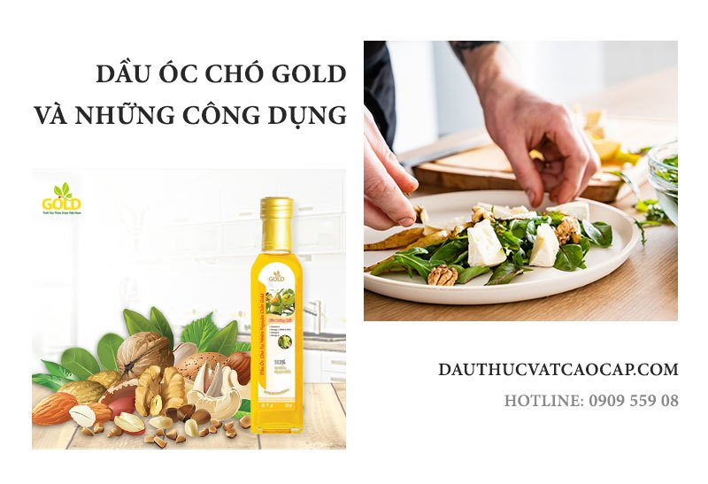 Dau-Oc-Cho-Va-Nhung-Cong-Dung